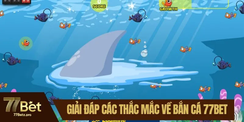 Giải đáp các thắc mắc về bắn cá 77BET