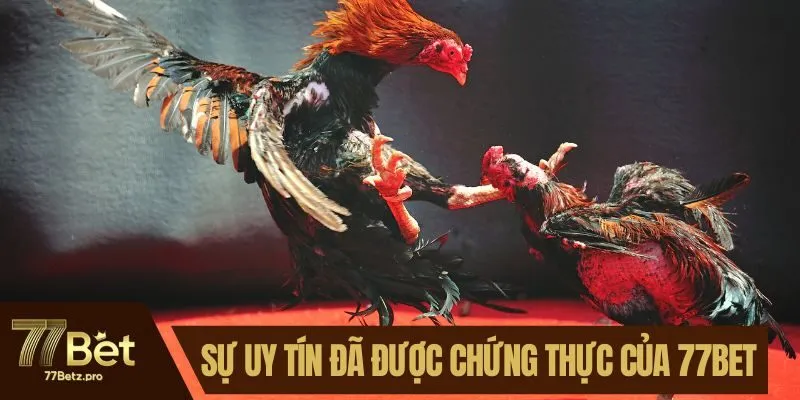 Sự uy tín đã được chứng thực của 77BET